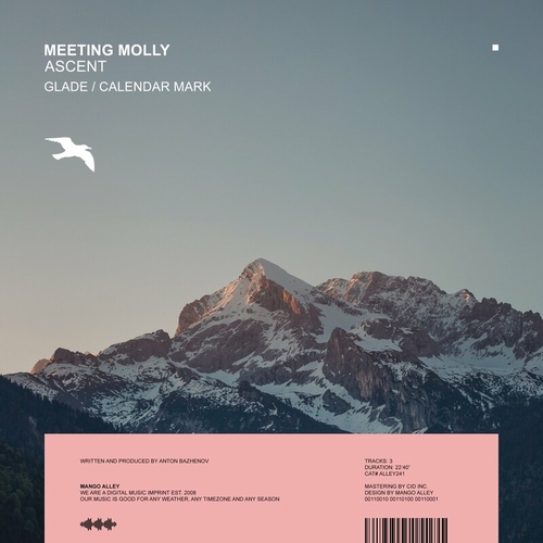 Meeting Molly - Ascent [ALLEY241]